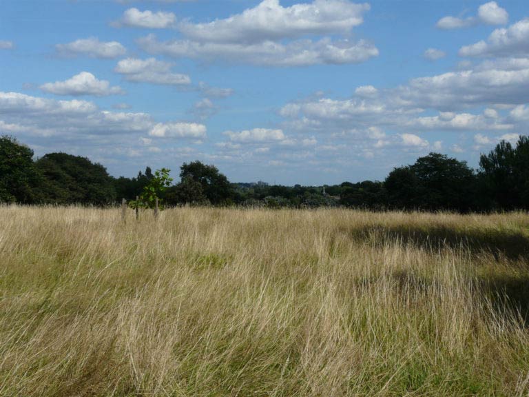 Brockwell Park